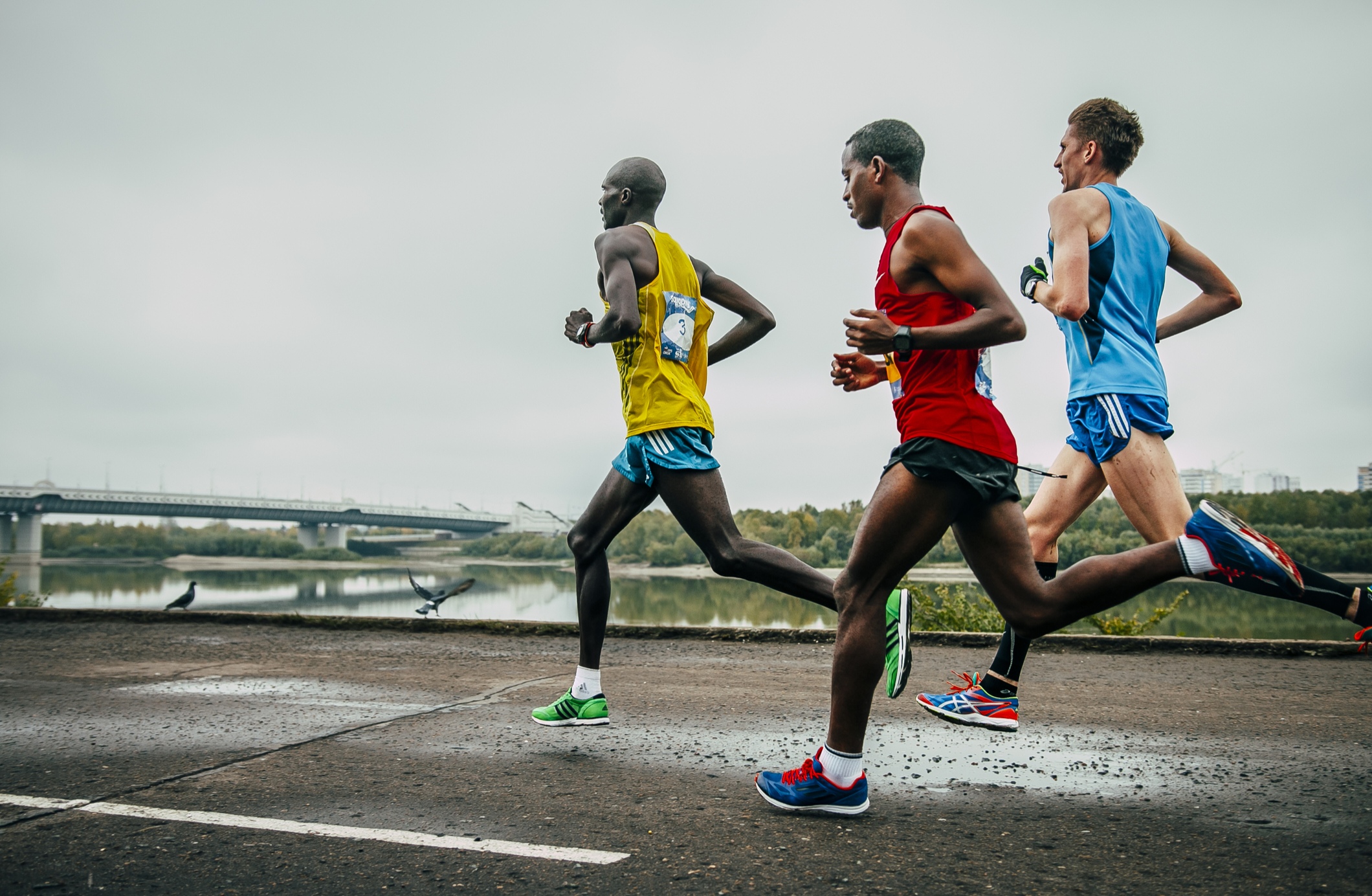 True North Avenue runners